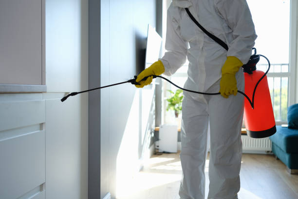 Professional Mold Removal in Palatka, FL