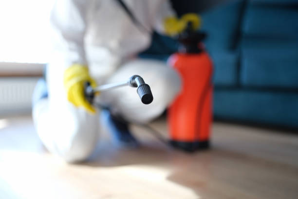 Best Commercial Mold Inspection  in Palatka, FL