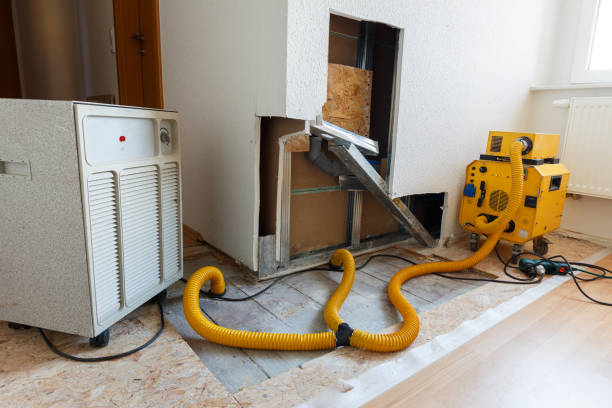 Best Comprehensive Air Testing for Mold Contaminants  in Palatka, FL